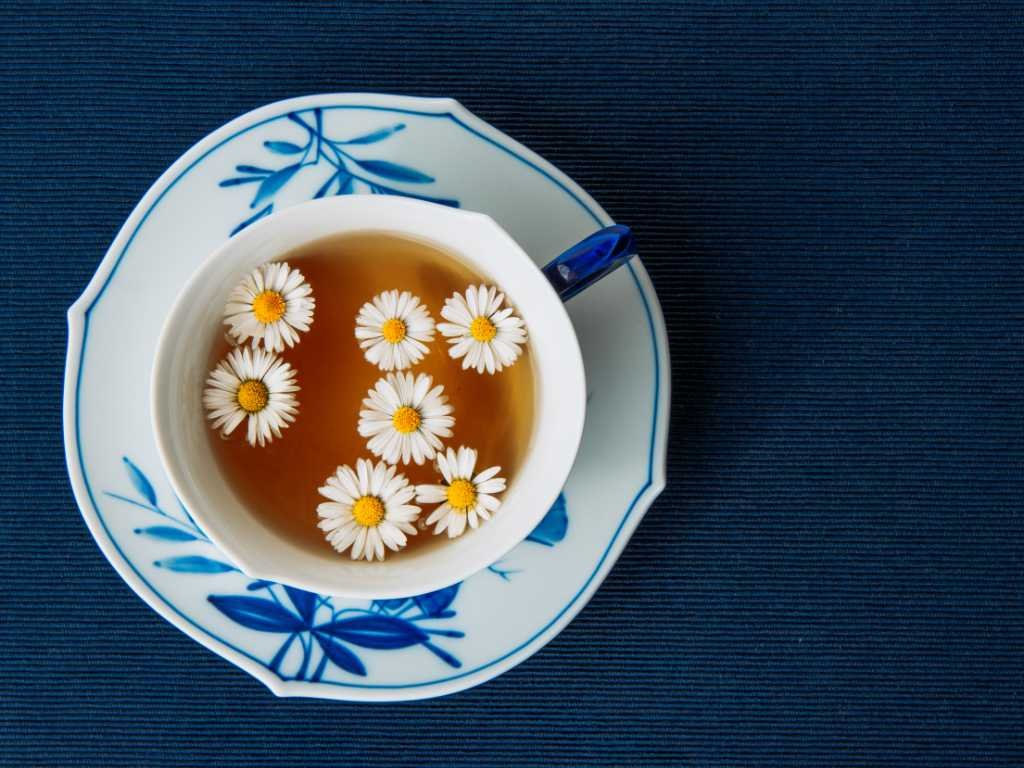 Chamomile teas for anxiety relief with fresh daisy flowers floating in elegant blue porcelain teacup