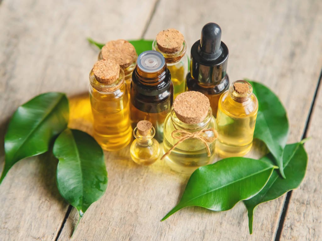 Collection of essential oil bottles with natural sleep aids properties arranged with green leaves on wooden surface