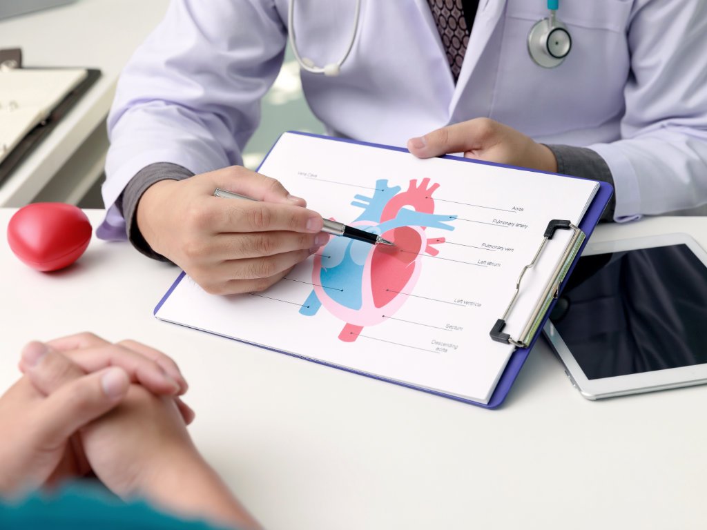 Doctor explaining omega-3 benefits for cardiovascular protection using detailed heart anatomy diagram during medical consultation