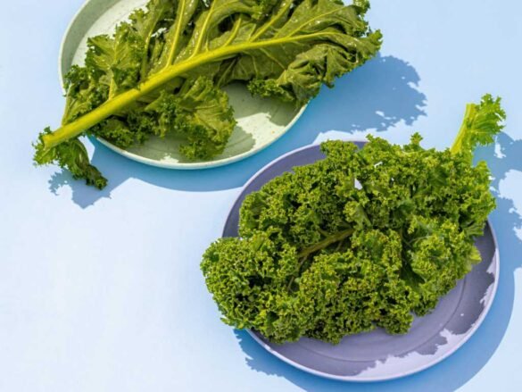 Fresh vitamin K rich leafy greens including kale varieties for radiant skin health - essential vitamins for circulation and healthy glowing skin