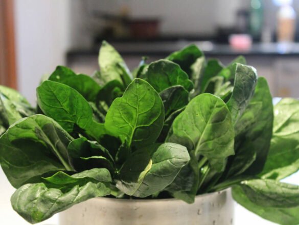 Fresh spinach leaves packed with vitamin K for radiant skin and improved circulation - natural vitamins for healthy skin glow
