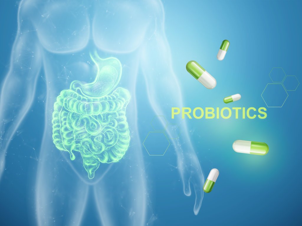 Human digestive system anatomy with floating probiotics supplements capsules showing how gut health and probiotic supplementation affects overall body wellness and health