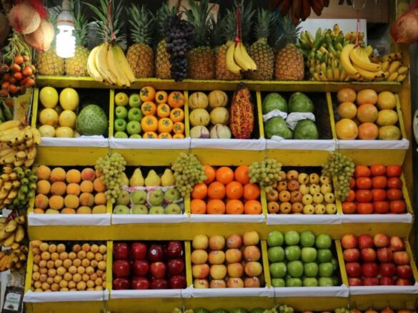 Colorful display of tropical and exotic fruits showing fruit variety essential for balanced nutrition and vitamin intake