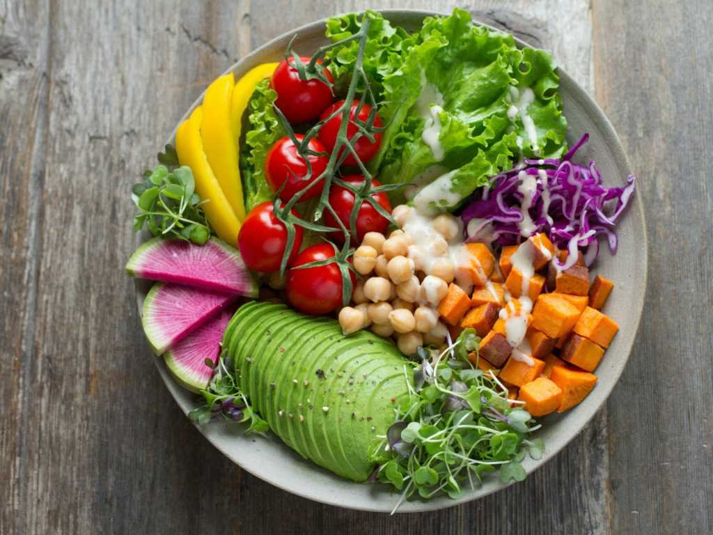 Perfectly balanced bowl showing structured diet framework with organized food groups to support specific fitness goals and nutritional needs