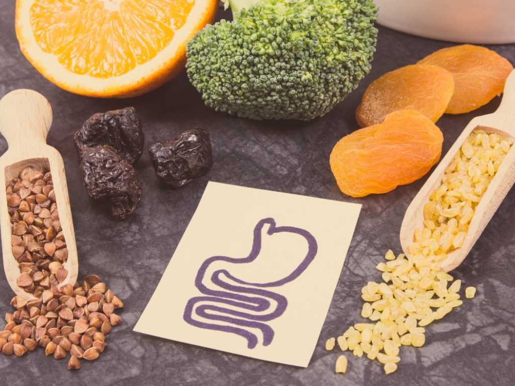 Gut-friendly foods including broccoli, nuts, and dried fruits arranged around intestine illustration supporting probiotic supplements for gut flora health