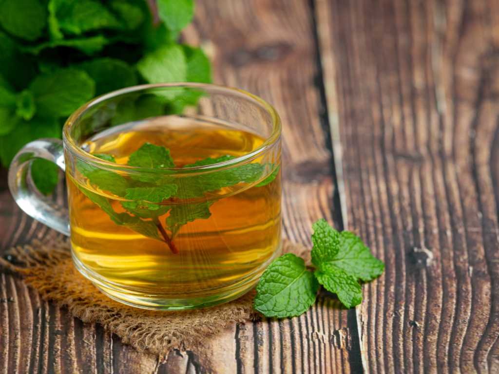 Fresh peppermint herbal tea for focus in clear glass mug with mint leaves on rustic wooden background