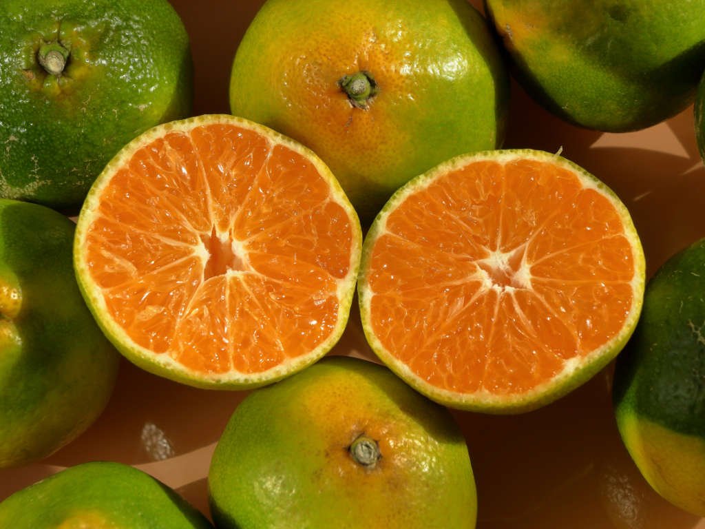 Fresh citrus fruits superfoods for immunity rich in vitamin C showing whole and halved oranges