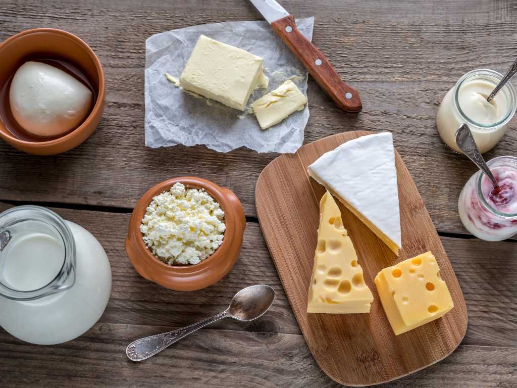 Variety of dairy products including milk, cheese, butter and yogurt - essential staple foods for calcium and cooking versatility