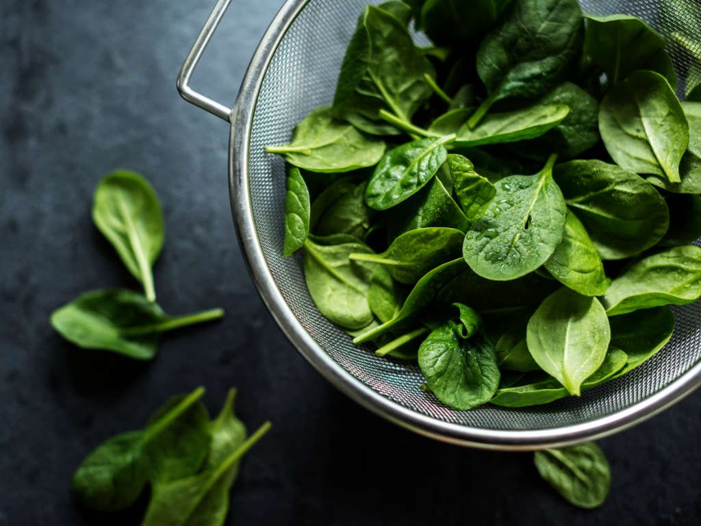 Fresh spinach leaves in metal colander with water droplets, iron-rich superfoods for metabolism and energy