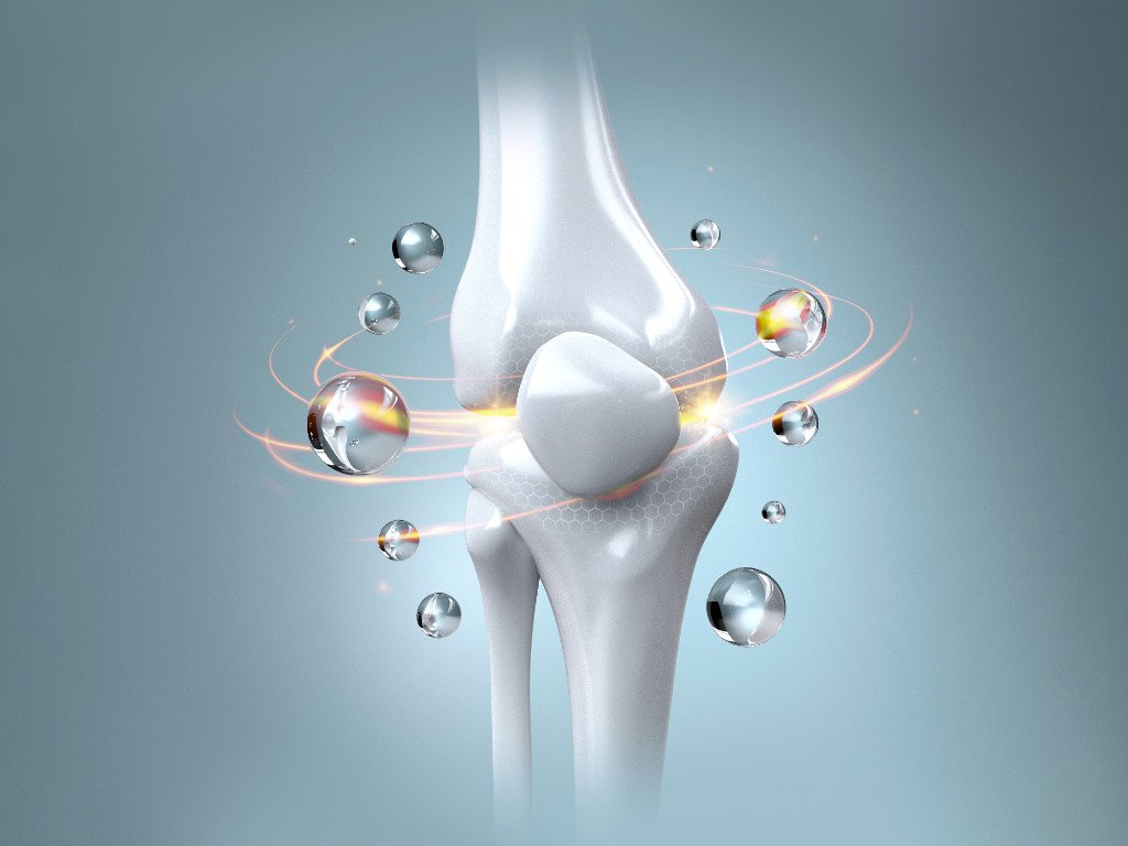 3D illustration of bone joint showing mineral absorption and magnesium insufficiency impact on bone density and osteoporosis risk