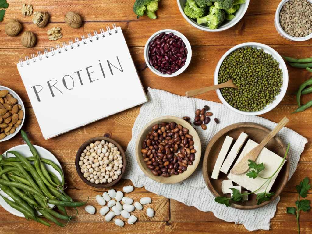 Plant protein sources for no sugar vegan protein bars including beans, lentils, nuts and tofu