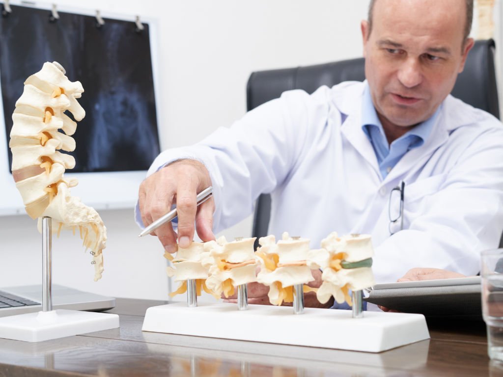 Doctor examining spine model demonstrating how vitamin K2 supports bone health and skeletal structure